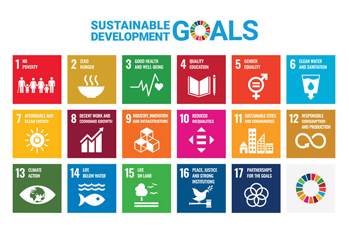 goals of sustainability